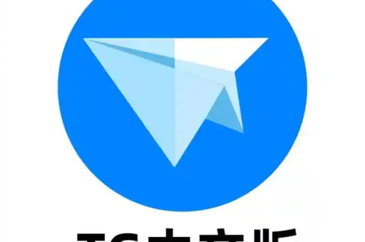 纸飞机中文版支持文件加密传输吗