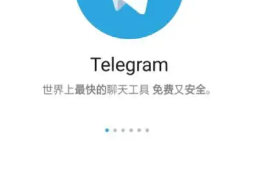 纸飞机聊天软件怎么设置中文