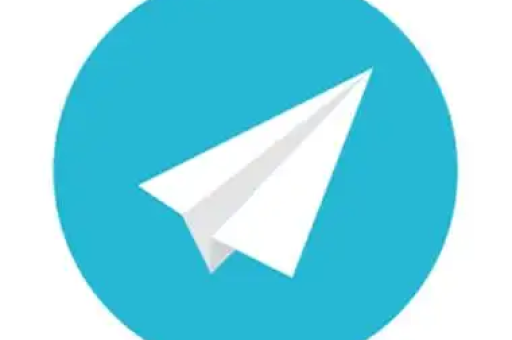 纸飞机 app 下载后怎么设置中文